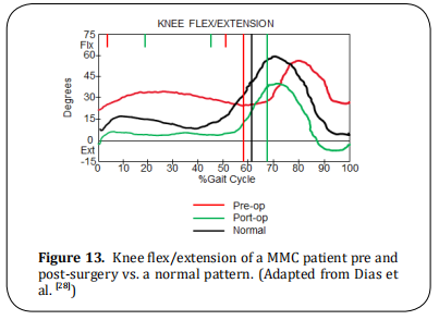 Figure 13.  